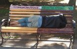 познакомлюсь-отдыхаю-спит-7403193.jpeg