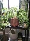 morning_picdump_3591_640_high_48.jpg