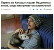 Anime-фэндомы-4578413.jpeg