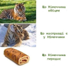Германия-страны-Вторжение-в-Украину-2022-Острый-Перец-7416638.png