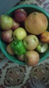 IMG_20220621_113951_253.jpg
