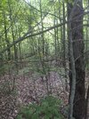 IMG_20220617_185055.jpg