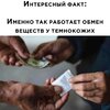 картинка-с-текстом-негры-игра-слов-7470199.jpeg