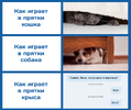 Приколы-для-даунов-разное-5458585.png