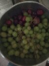 IMG_20220703_132116.jpg