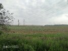 Resizer_16569582211683.jpg