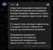 политика-песочница-политоты-таможня-Россия-7481518.jpeg