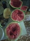 IMG_20220707_065847.jpg