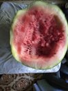 IMG_20220707_065851.jpg