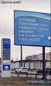 oyzgn3bx4vh91.jpg