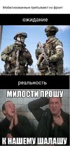 политота-песочница-политоты-мобилизация-петух-7607150.jpeg