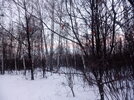IMG_20221216_153547_9.jpg