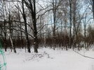 IMG_20221216_144431_2.jpg