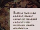 Приколы-для-даунов-разное-Оливье-еда-7764937.jpeg