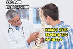 Anime-фэндомы-4804543.jpeg