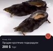 обувь-7799388.jpeg