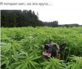 __90cd293cfa9ec5a0c9114ced8a55a2d3_width-600.translated.jpg