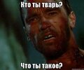 0ABF66AD-19E7-488C-82E9-DD69737C998C.jpeg