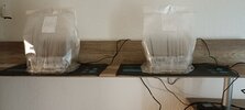 IMG_20230218_130004.jpg