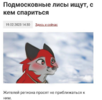 кусь-Лиса-фэндомы-собакен-4845782.png