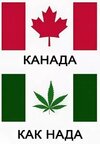 Канада-страны-кокаин-Новость-4852148.jpeg