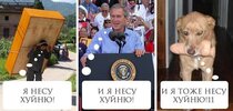 гифки-собака-дилдо-4855709.jpeg