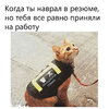 приколы-для-даунов-песочница-приколы-резюме-7860315.jpeg