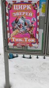 ТикТок-Цирк-афиша-Приколы-для-даунов-7866317.jpeg
