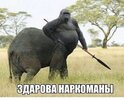 Легкая-наркомания-смешные-картинки-юмор-7868889.jpeg