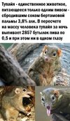познавательно-7903537.jpeg