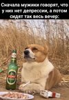 картинка-с-текстом-собакен-7917973.jpeg