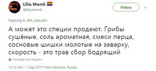 соль-шишки.jpg