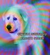 Приколы-для-даунов-разное-7945594.jpeg