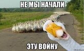 загружено (2).jpg
