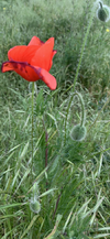 B24C0325-2C06-4C29-9594-61F32128CEB9.png