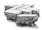 жаба-кирпич-Легкая-наркомания-7958408.jpeg