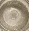 5F6739FC-A07C-46C9-B3FD-4DAA5978F825.jpeg