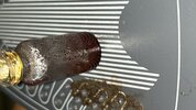 IMG_0534.jpeg