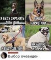 загружено (5).jpg