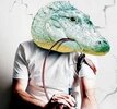 лебеди-птицы-словакия-страны-4954857.jpeg