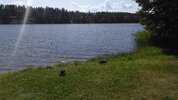 IMG_20230630_144818.jpg