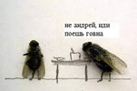 загружено (11).jpg
