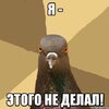 golub_16142869_orig_.jpg