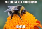 s1rhikwjrgeb1.jpg