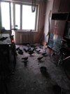 IMG_20230730_123754.jpg