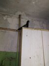 IMG_20230730_123324.jpg