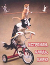 Азиат-трюк-фен-дрон-4970805.png