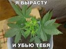 post-6873-0-50057300-1381940516.jpg