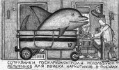 zarisovka-0046.jpg