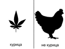 kuritsa.gif